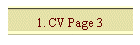 1. CV Page 3