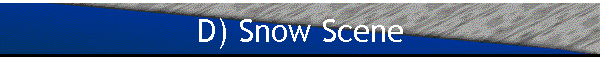 D) Snow Scene